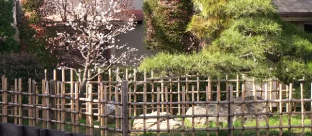 コラム写真